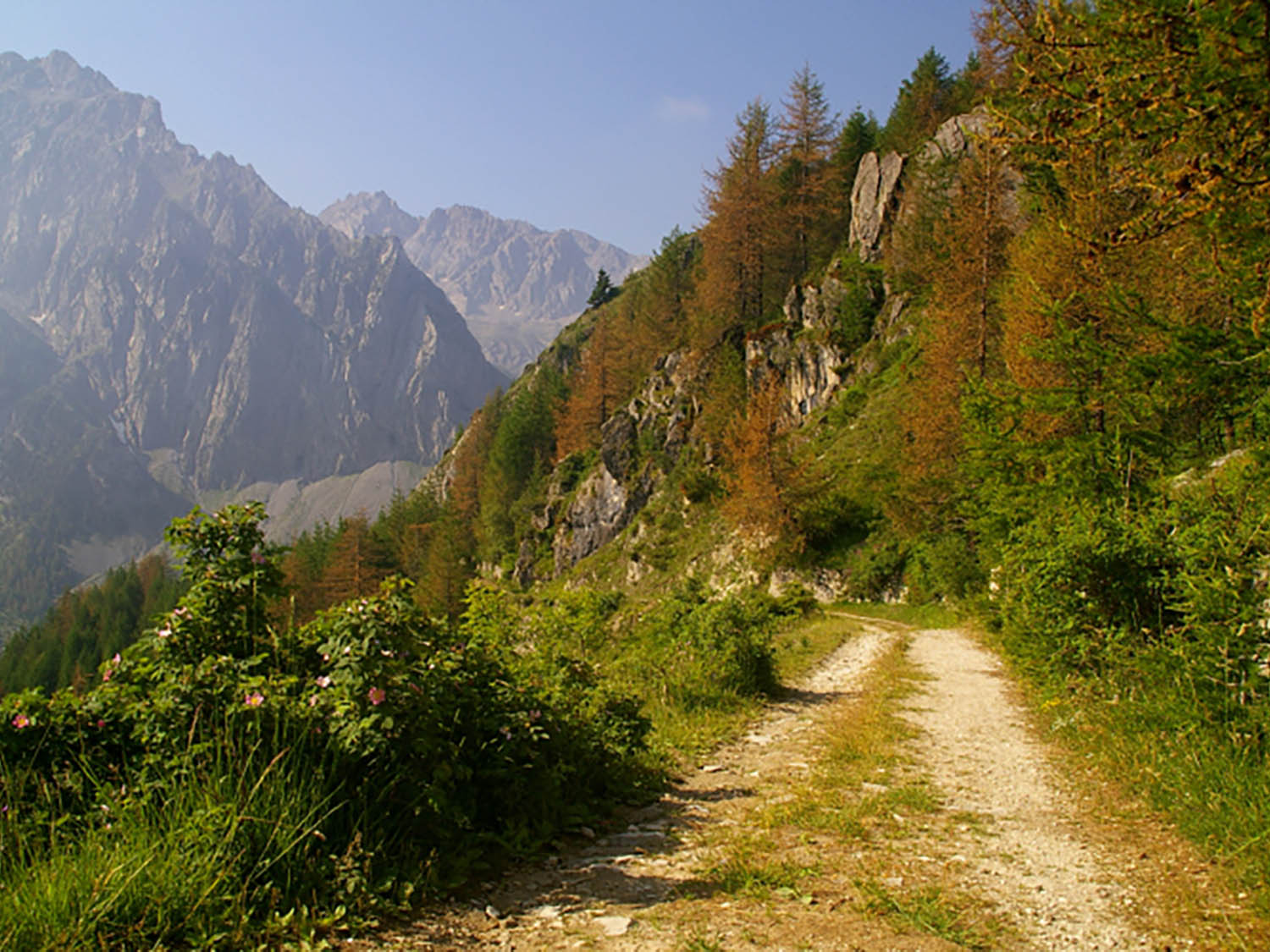 Tour 02 – Colle Ciarbonet